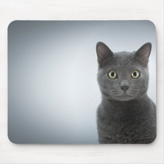 KatzenMousepad Mousepad (Vorne)