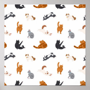 Katzenmuster Poster