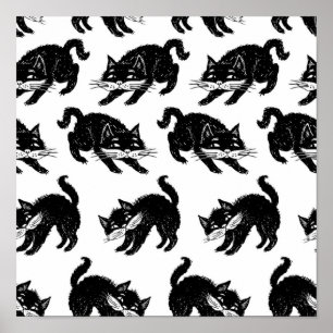 Katzenmuster Poster
