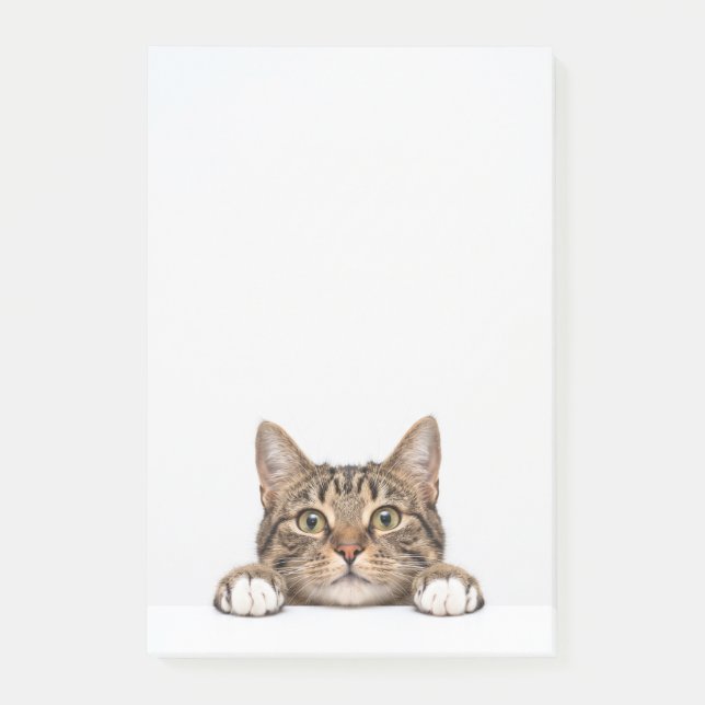 Katzenmutter Post-it Klebezettel (Vorderseite)