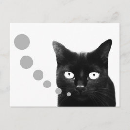 Katzennachricht Postkarte