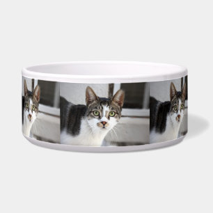 Katzennapf Napf