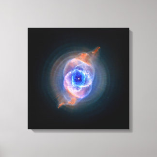 Katzennebel leuchtet leinwanddruck