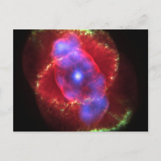 Katzennebel leuchtet postkarte