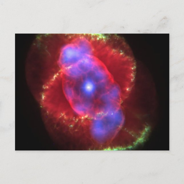 Katzennebel leuchtet postkarte (Vorderseite)