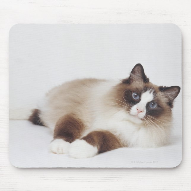 Katzenneuerung Mousepad (Vorne)