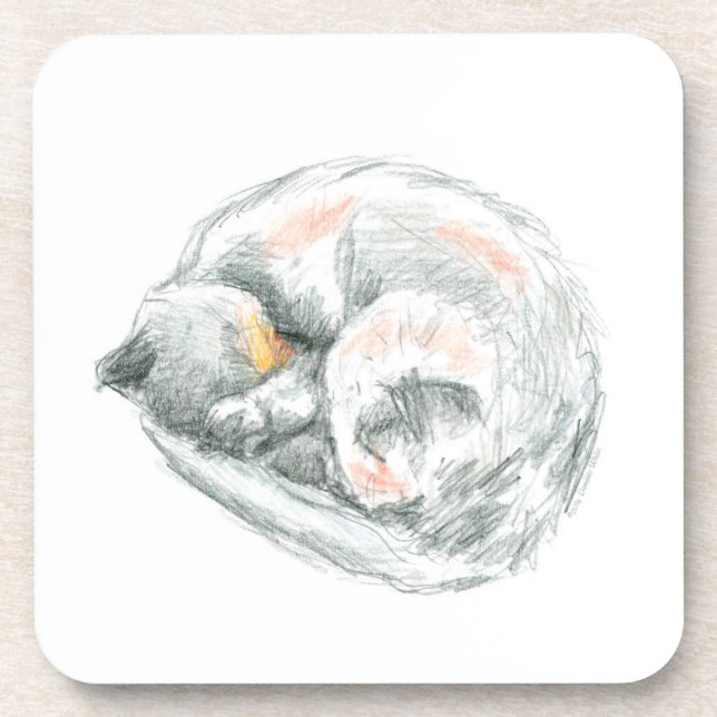 Katzennickerchen Getränkeuntersetzer (Vorderseite)