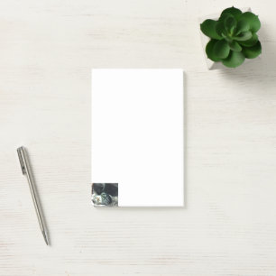 Katzennotizen  post-it klebezettel