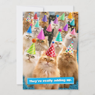 Katzenparty Einladung