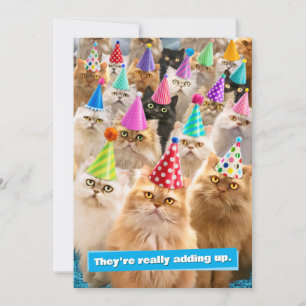 Katzenparty Einladung
