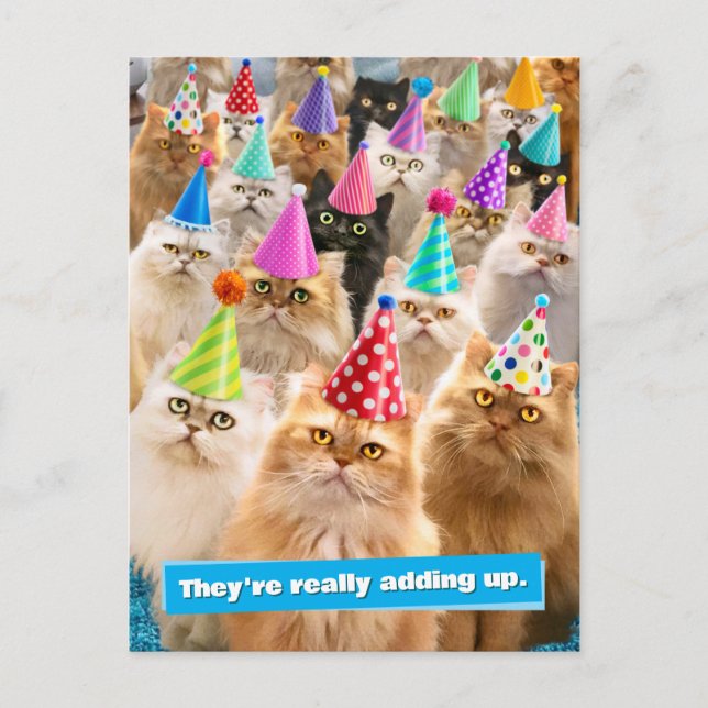 Katzenparty Einladungspostkarte (Vorderseite)