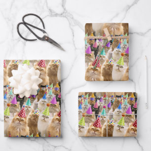 Katzenparty Geschenkpapier Set