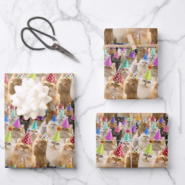Katzenparty Geschenkpapier Set (Vorderseite)
