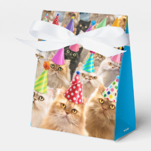 Katzenparty Geschenkschachtel