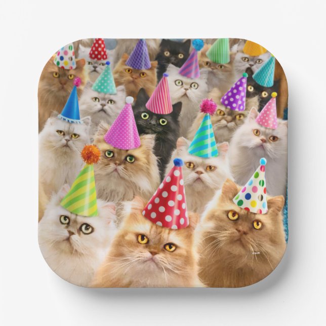 Katzenparty Pappteller (Vorderseite)
