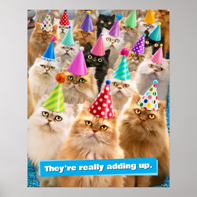 Katzenparty Poster (Vorne)
