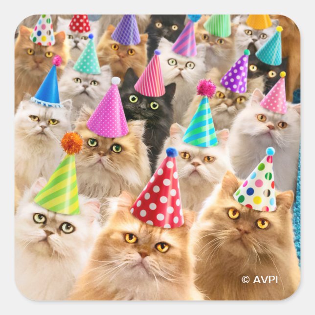 Katzenparty Quadratischer Aufkleber (Vorderseite)