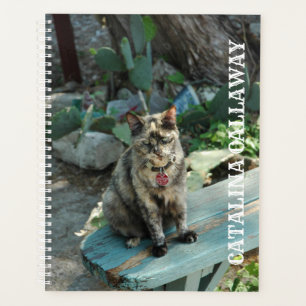 Katzenplaner Planer