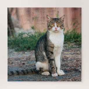 Katzenportrait Puzzle