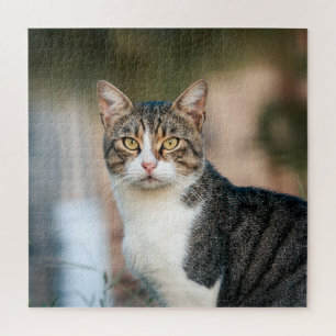 Katzenportrait Puzzle