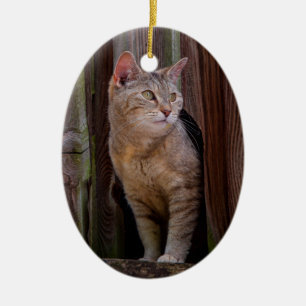 Katzenporzellanschmuck Keramik Ornament