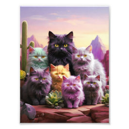 Katzenposter - Dekoration der Wand Fotodruck