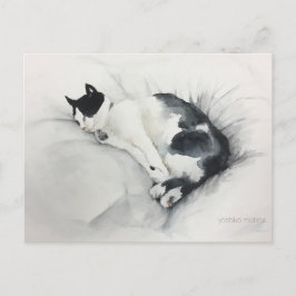 Katzenpostkarte Postkarte