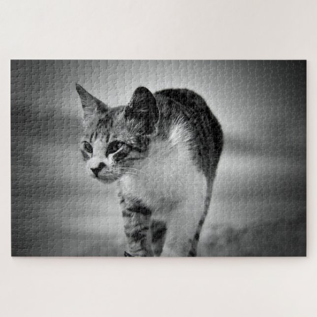 Katzenpuzzle suchen puzzle (Horizontal)