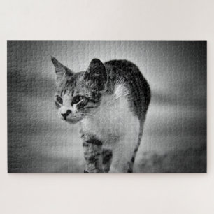 Katzenpuzzle suchen puzzle