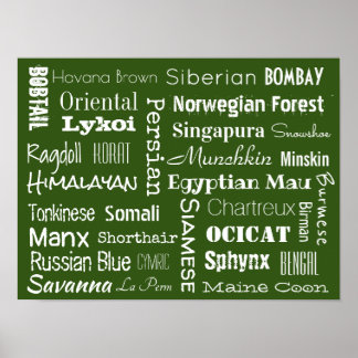 Katzenrassen Poster