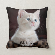 Katzenräuterpilz personalisiertes Foto