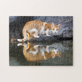 Katzenreflektion im Teichwasser, Spiel Puzzle