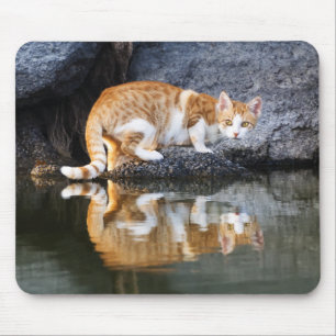 Katzenreflexion im Foto von Teichwassertieren, Mousepad
