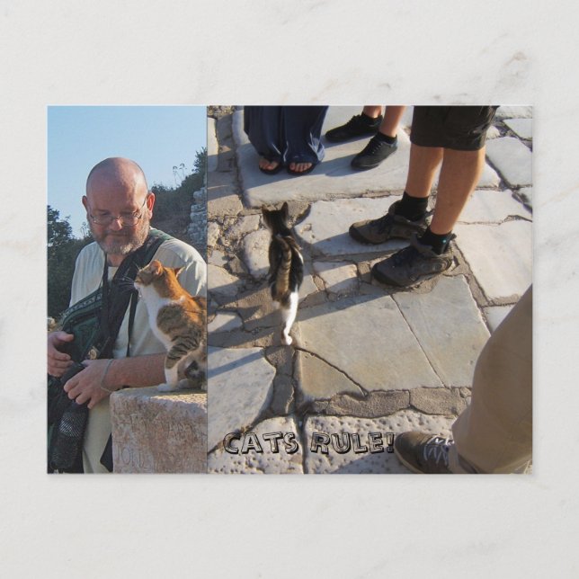 Katzenregel in der Ephesus-Postkarte Postkarte (Vorderseite)