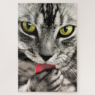 Katzenreinigung Puzzle