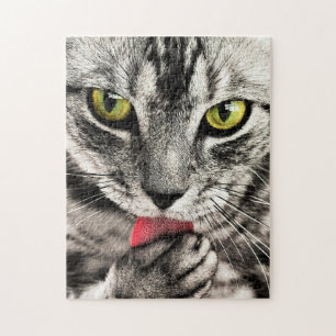 Katzenreinigung Puzzle