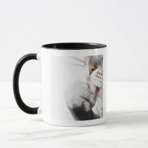 Katzenreinigungstatze, Nahaufnahme Tasse
