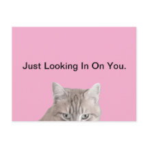 Katzenrosa-Postkarte