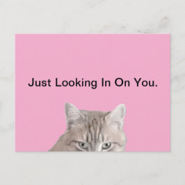 Katzenrosa-Postkarte Postkarte