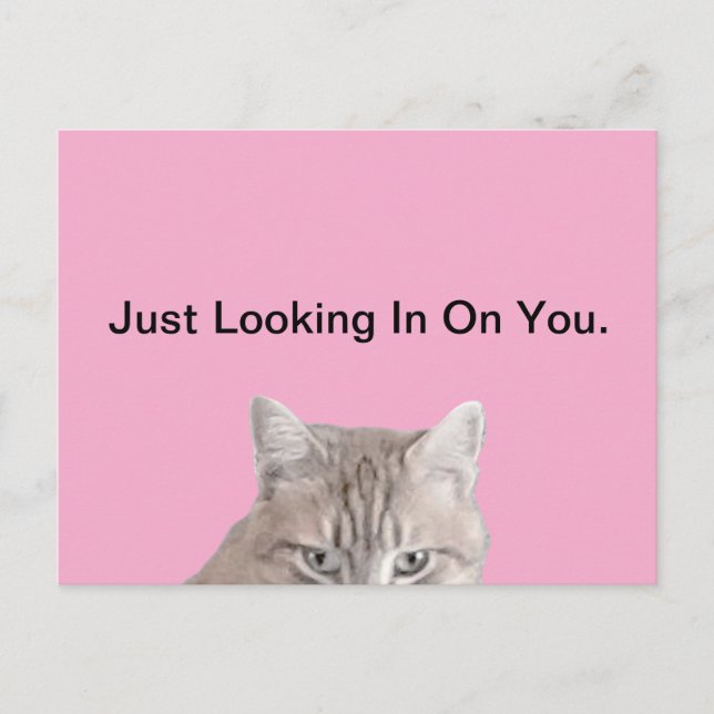 Katzenrosa-Postkarte Postkarte (Vorderseite)