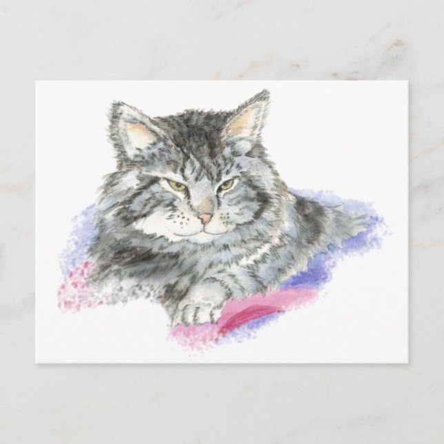 Katzenruhe - Aquarellensammlung für Tiere Postkarte (Vorderseite)