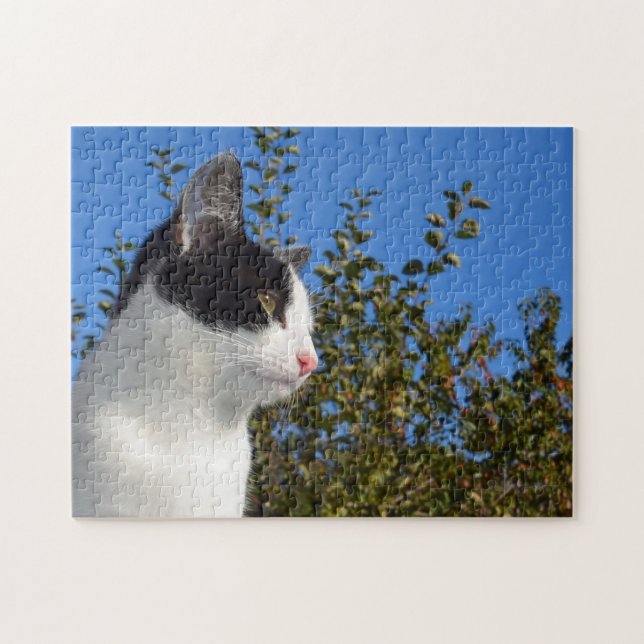 Katzenschwarz und Weiß-Foto Puzzle (Horizontal)