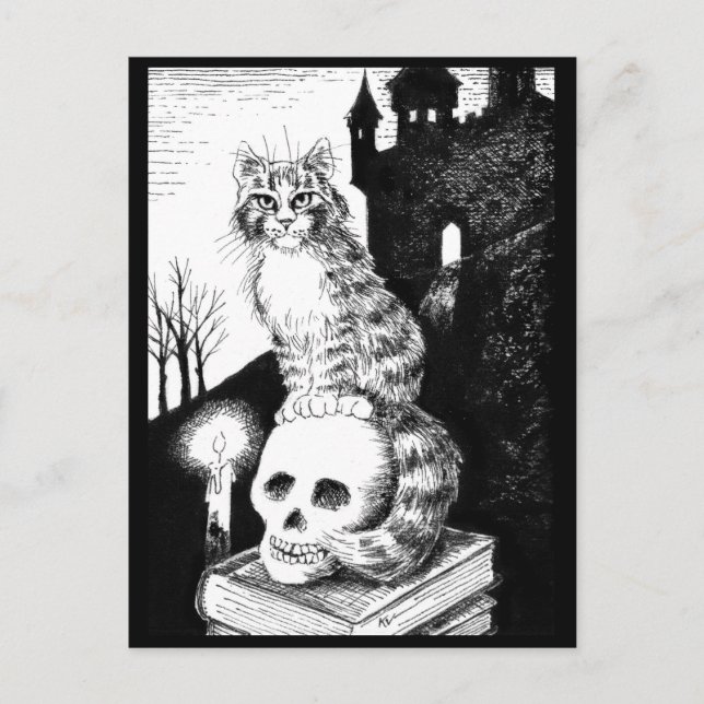 Katzenschwarz und weiß Maine Coon Halloween Postka Postkarte (Vorderseite)