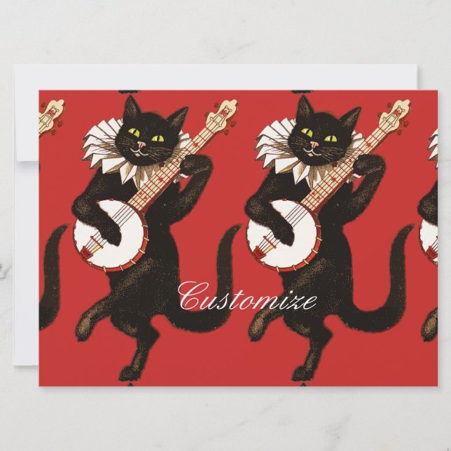 Katzenspiel Banjo Thunder_Cove (Vorderseite)