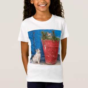 Katzenspiel in Rabat, Marokko T-Shirt