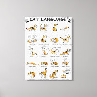 Katzensprache, lustiges Katzen Kitten, Liebe Katze