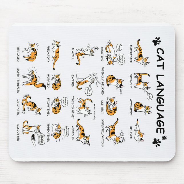 Katzensprache, lustiges Katzen Kitten, Liebe Katze Mousepad (Vorne)