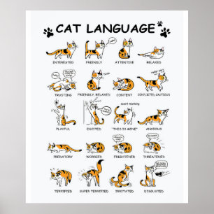 Katzensprache, lustiges Katzen Kitten, Liebe Katze Poster