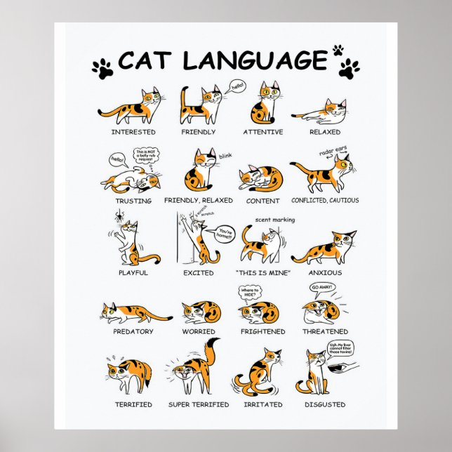 Katzensprache, lustiges Katzen Kitten, Liebe Katze Poster (Vorne)