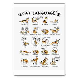 Katzensprache, lustiges Katzen Kitten, Liebe Katze Tischnummer